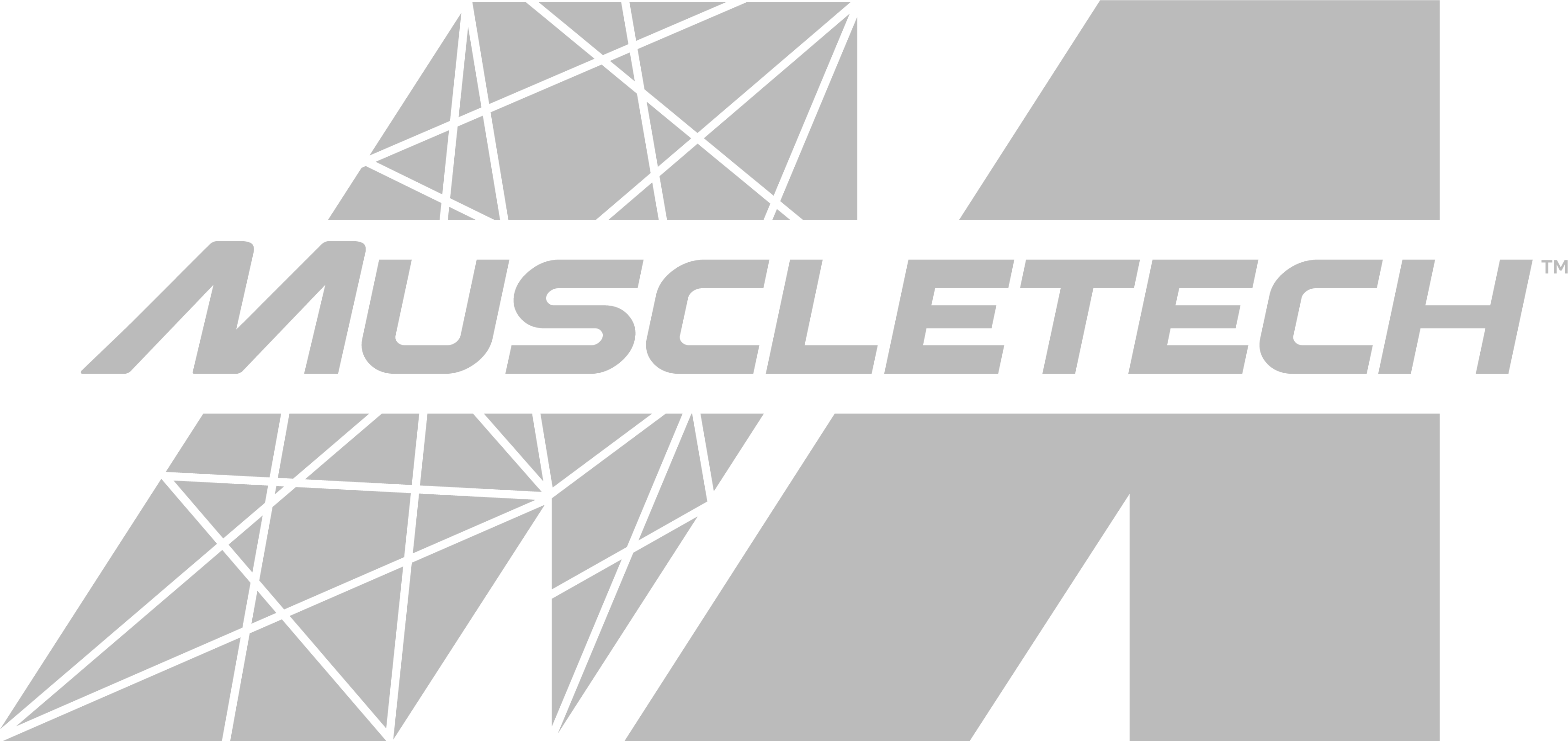 mt_logo_2020_grey_1_